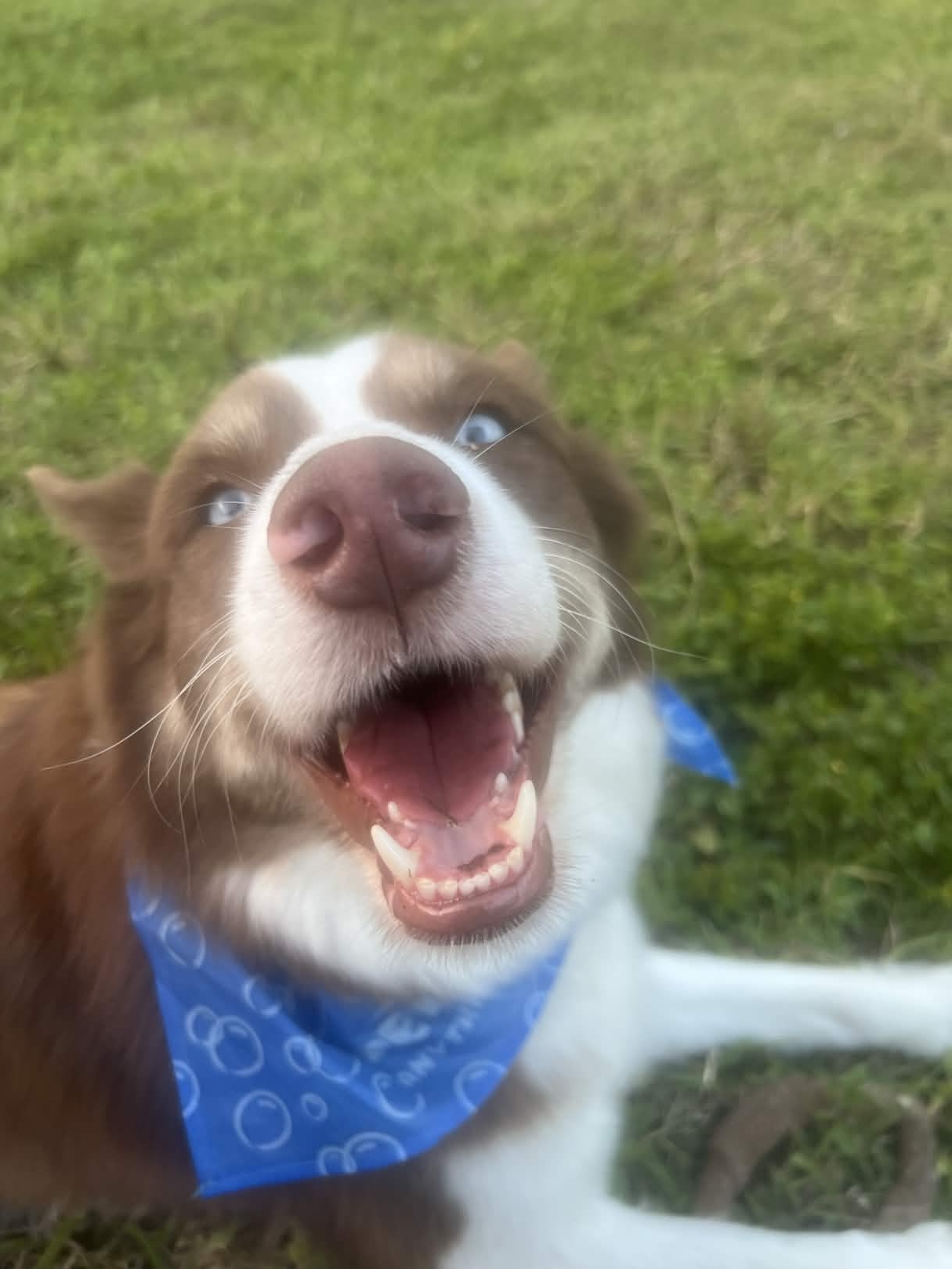 Zeus